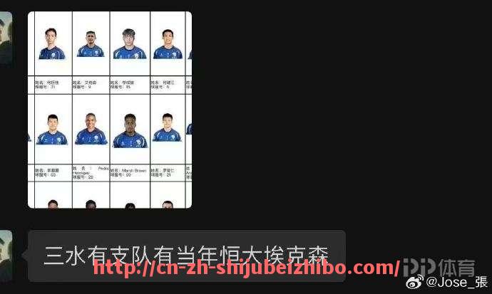 世俱杯直播-如何观看德甲球队的官方视频直播，哪些平台支持？（哪里能看德甲录像回放）