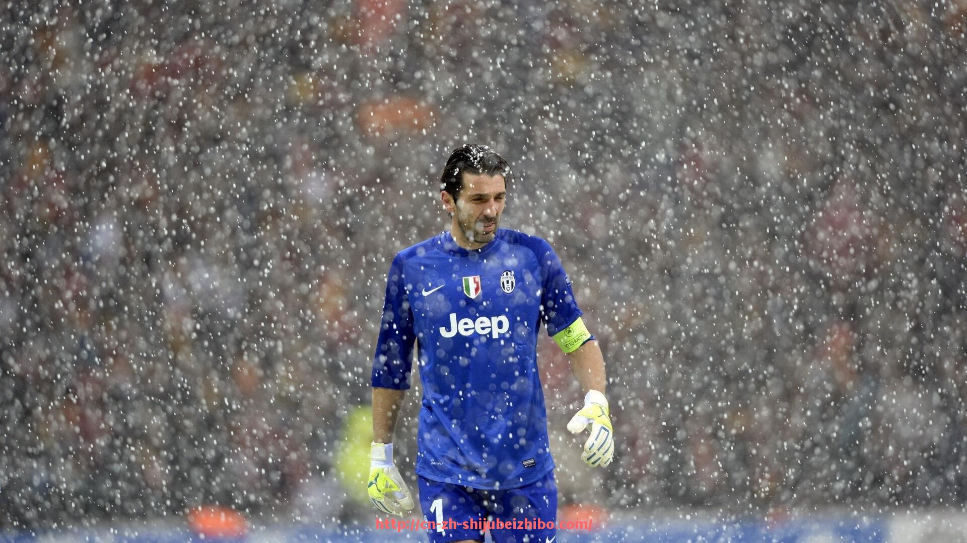 世俱杯直播-世俱杯球场草皮维护及比赛场地状况介绍